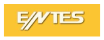 Entes logosu
